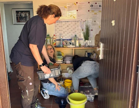 Frühjahrsinstandsetzung 2025